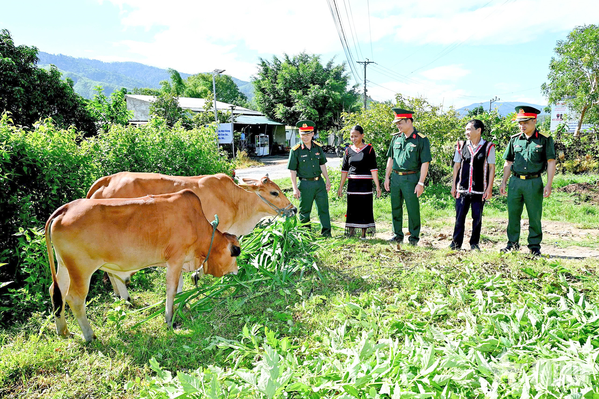 Đoàn Kinh tế - Quốc phòng 78 (Binh đoàn 15): “Khoan thư sức dân” ở vùng biên giới Quảng Ngãi